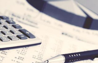 强化信息技术 提升管理会计效能 信息技术咨询服务的关键作用